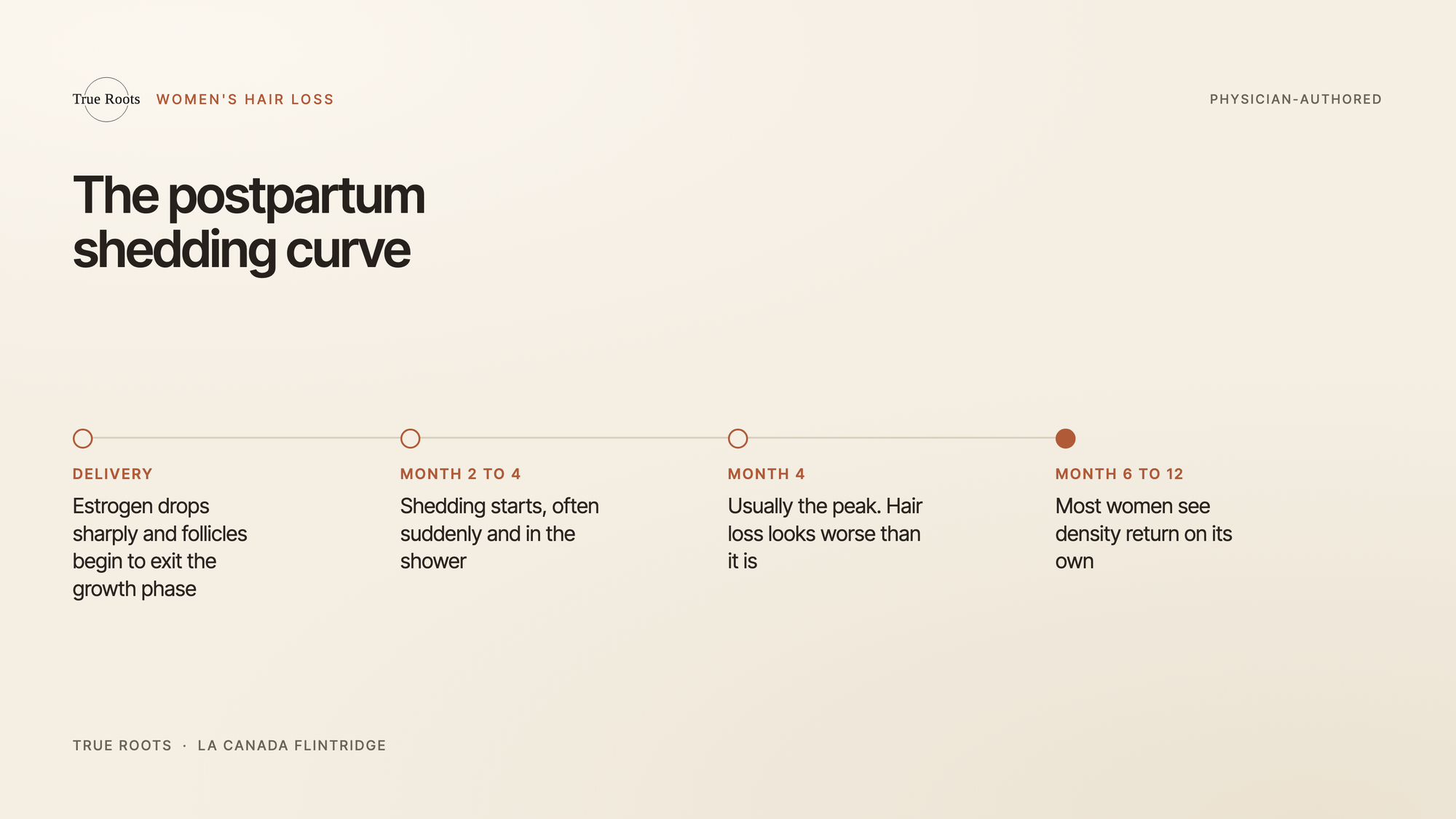 Postpartum hair shedding timeline from delivery through month twelve